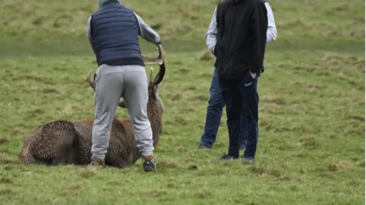 %d8%b4%d8%b1%d8%b7%d8%a9 %d8%a8%d8%b1%d9%8a%d8%b7%d8%a7%d9%86%d9%8a%d8%a7 %d8%aa%d8%a8%d8%ad%d8%ab %d8%b9%d9%86 3 %d8%b1%d8%ac%d8%a7%d9%84 %d8%aa%d8%b3%d8%a8%d8%a8%d9%88%d8%a7 %d8%a8%d8%a7%d9%84%d9%85