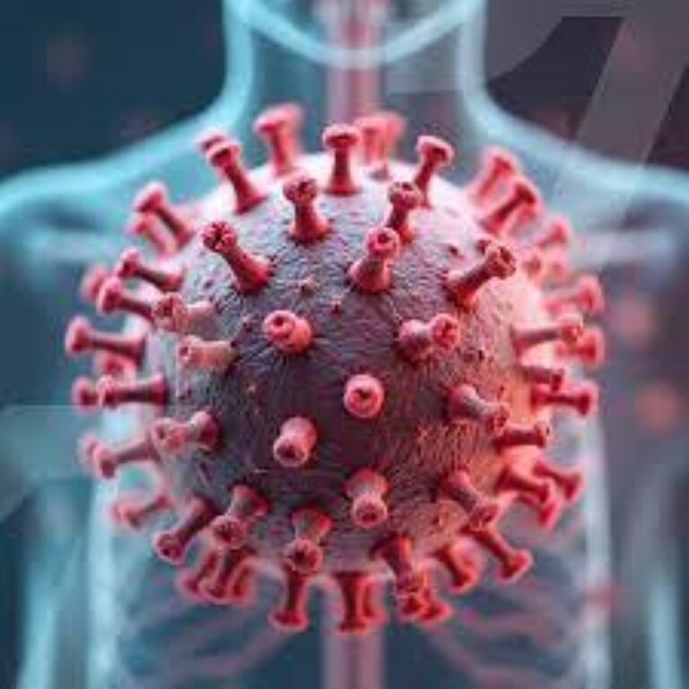 %d8%a3%d8%ae%d8%b7%d8%b1 %d9%85%d9%86 %d9%83%d9%88%d9%81%d9%8a%d8%af 19 Hmpv %d9%8a%d9%87%d8%af%d8%af %d8%a7%d9%84%d8%b9%d8%a7%d9%84%d9%85