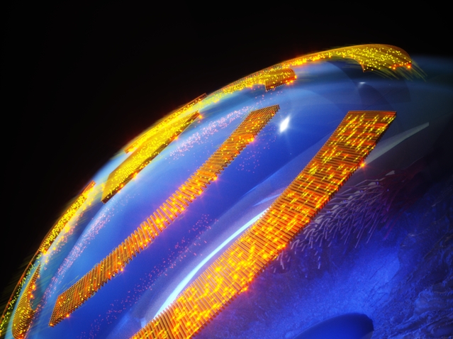 %d8%b4%d8%b1%d9%83%d8%a9 Xpanceo %d8%aa%d8%a8%d8%aa%d9%83%d8%b1 %d8%a3%d9%81%d9%84%d8%a7%d9%85%d8%a7%d9%8b %d8%b0%d9%87%d8%a8%d9%8a%d9%91%d8%a9%d9%8b %d9%81%d8%a7%d8%a6%d9%82%d8%a9 %d8%a7%d9%84%d8%b1