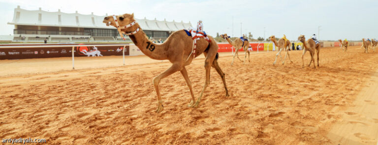 %d9%85%d9%87%d8%b1%d8%ac%d8%a7%d9%86 %d8%a7%d9%84%d9%87%d8%ac%d9%86 %d8%a7%d9%84%d8%b3%d8%b9%d9%88%d8%af%d9%8a%d9%88%d9%86 %d9%8a%d8%aa%d8%b5%d8%af%d8%b1%d9%88%d9%86 11 %d8%b4%d9%88%d8%b7%d8%a7