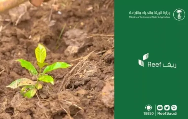 %d8%a8%d8%b1%d9%86%d8%a7%d9%85%d8%ac %d8%b1%d9%8a%d9%81 %d8%a5%d8%b9%d9%84%d8%a7%d9%86 %d9%86%d8%aa%d8%a7%d8%a6%d8%ac %d8%a7%d9%84%d8%a3%d9%87%d9%84%d9%8a%d8%a9 %d9%81%d9%8a %d9%87%d8%b0%d8%a7 %d8%a7