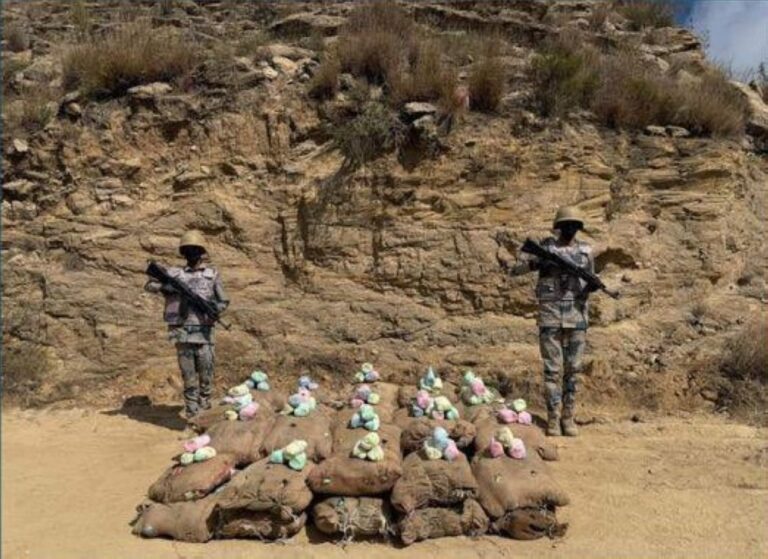 %d8%b9%d8%b3%d9%8a%d8%b1 %d8%a5%d8%ad%d8%a8%d8%a7%d8%b7 %d8%aa%d9%87%d8%b1%d9%8a%d8%a8 600 %d9%83%d9%8a%d9%84%d9%88%d8%ac%d8%b1%d8%a7%d9%85 %d9%85%d9%86 %d9%86%d8%a8%d8%a7%d8%aa %d8%a7%d9%84%d9%82