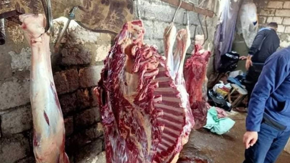 %d9%85%d8%b5%d8%b1 %d8%b6%d8%a8%d8%b7 %d8%ac%d8%b2%d8%a7%d8%b1 %d8%b0%d8%a8%d8%ad %d8%ad%d8%b5%d8%a7%d9%86%d8%a7%d9%8b %d9%84%d8%a8%d9%8a%d8%b9%d9%87 %d8%b9%d9%84%d9%89 %d8%a3%d9%86%d9%87 %d8%b6