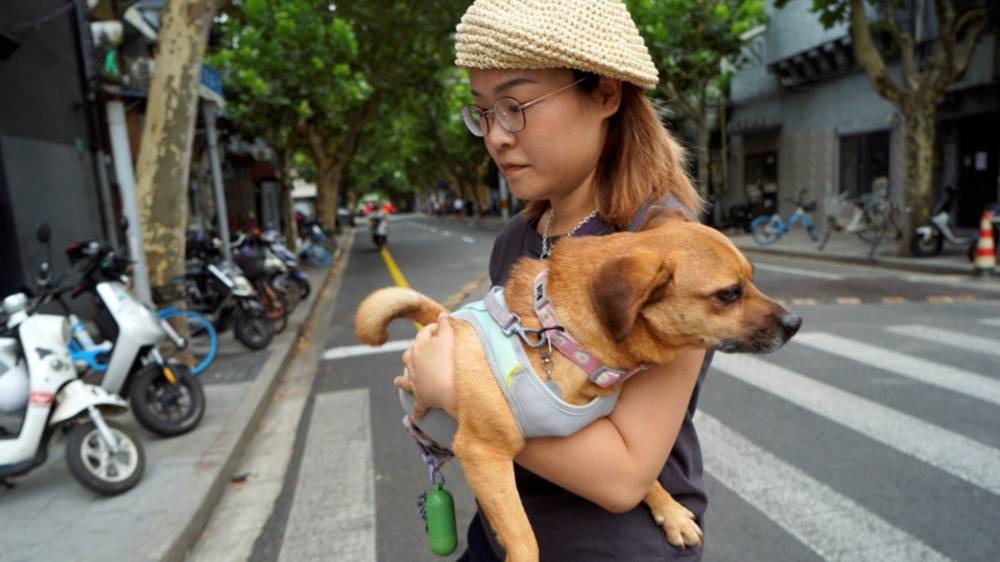 %d8%a7%d9%84%d8%b1%d8%b9%d8%a7%d9%8a%d8%a9 %d8%a7%d9%84%d8%b5%d8%ad%d9%8a%d8%a9 %d9%84%d9%84%d8%ad%d9%8a%d9%88%d8%a7%d9%86%d8%a7%d8%aa %d8%a7%d9%84%d8%a3%d9%84%d9%8a%d9%81%d8%a9 %d8%aa%d8%b2%d8%af