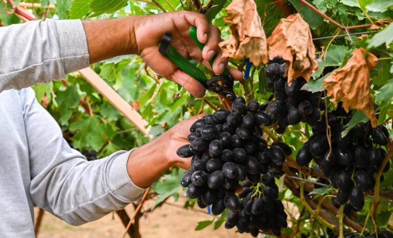 38 3 %d9%85%d9%84%d9%8a%d8%a7%d8%b1 %d8%b1%d9%8a%d8%a7%d9%84 %d8%a7%d9%84%d8%a5%d9%86%d8%aa%d8%a7%d8%ac %d8%a7%d9%84%d9%85%d8%ad%d9%84%d9%8a %d9%85%d9%86 %d8%a7%d9%84%d9%85%d8%ad%d8%a7%d8%b5%d9%8a