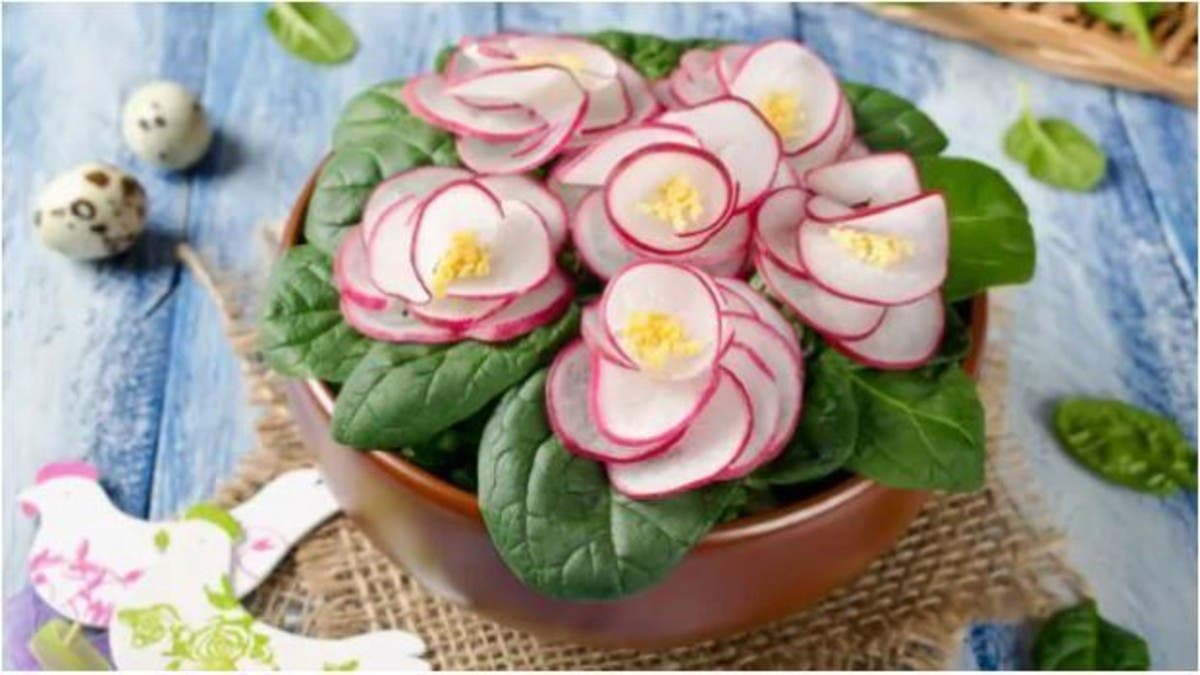 7 %d9%81%d9%88%d8%a7%d8%a6%d8%af %d8%b5%d8%ad%d9%8a%d8%a9 %d9%84%d9%84%d9%81%d8%ac%d9%84 %d8%ae%d8%a7%d8%b5%d8%a9 %d9%81%d9%8a %d8%a7%d9%84%d8%b4%d8%aa%d8%a7%d8%a1