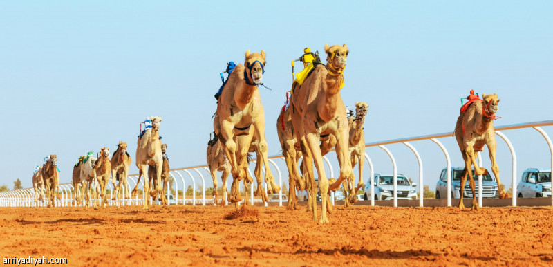 %d8%a7%d9%84%d8%b3%d8%a8%d8%aa %d8%a5%d8%ba%d9%84%d8%a7%d9%82 %d8%a8%d8%a7%d8%a8 %d8%a7%d9%84%d8%aa%d8%b3%d8%ac%d9%8a%d9%84 %d9%81%d9%8a %d9%85%d9%87%d8%b1%d8%ac%d8%a7%d9%86 %d8%a7%d9%84%d9%85%d9%84