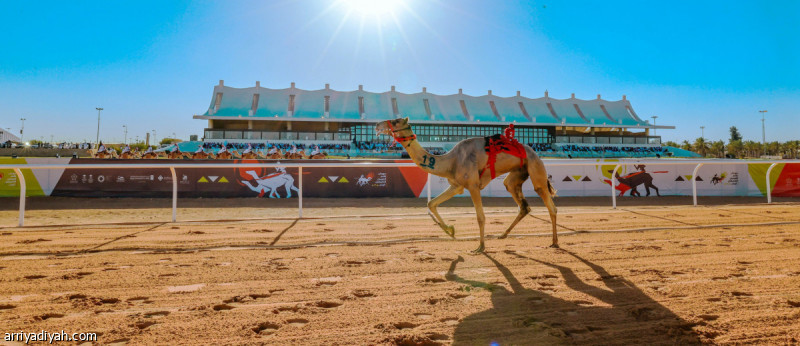 %d9%85%d9%87%d8%b1%d8%ac%d8%a7%d9%86 %d8%a7%d9%84%d9%85%d9%84%d9%83 70 %d9%85%d9%84%d9%8a%d9%88%d9%86 %d8%b1%d9%8a%d8%a7%d9%84 %d9%85%d9%82%d8%b3%d9%85%d8%a9 %d8%b9%d9%84%d9%89 224 %d8%b4%d9%88