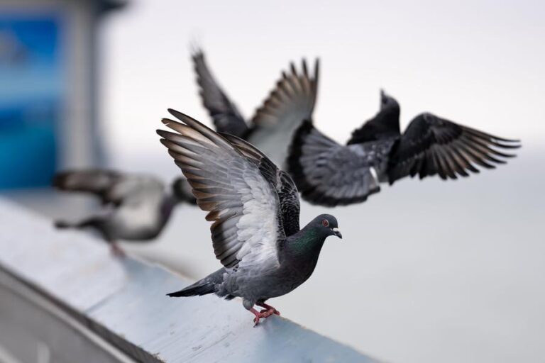 %d8%af%d8%a7%d8%a6%d8%b1%d8%a9 %d8%a7%d9%84%d8%a8%d9%84%d8%af%d9%8a%d8%a7%d8%aa %d9%88%d8%a7%d9%84%d9%86%d9%82%d9%84 %d8%aa%d8%b5%d8%af%d8%b1 %d8%af%d9%84%d9%8a%d9%84%d8%a7%d9%8b %d8%a5%d8%b1%d8%b4