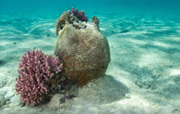 %d8%a8%d9%85%d8%b4%d8%a7%d8%b1%d9%83%d8%a9 %d8%ae%d8%a8%d8%b1%d8%a7%d8%a1 %d8%af%d9%88%d9%84%d9%8a%d9%8a%d9%86 %d8%a5%d8%b7%d9%84%d8%a7%d9%82 %d8%a3%d8%b9%d9%85%d8%a7%d9%84 %d9%85%d8%b3%d8%ad %d9%88