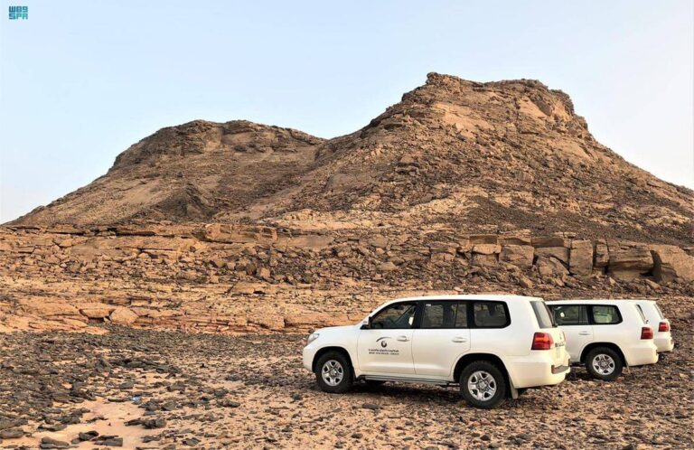 %d9%87%d9%8a%d8%a6%d8%a9 %d8%a7%d9%84%d9%85%d8%b3%d8%a7%d8%ad%d8%a9 %d8%a7%d9%84%d8%ac%d9%8a%d9%88%d9%84%d9%88%d8%ac%d9%8a%d8%a9 %d8%a7%d9%84%d8%b3%d8%b9%d9%88%d8%af%d9%8a%d8%a9 %d8%aa%d8%b7%d9%84