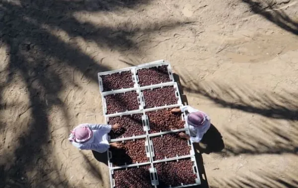 %d8%a7%d9%86%d8%b7%d9%84%d8%a7%d9%82 %d8%a7%d9%84%d8%af%d9%88%d8%b1%d8%a9 %d8%a7%d9%84%d8%a3%d9%88%d9%84%d9%89 %d9%85%d9%86 %d9%85%d9%87%d8%b1%d8%ac%d8%a7%d9%86 %d8%a7%d9%84%d8%b9%d9%8a%d9%86 %d9%84