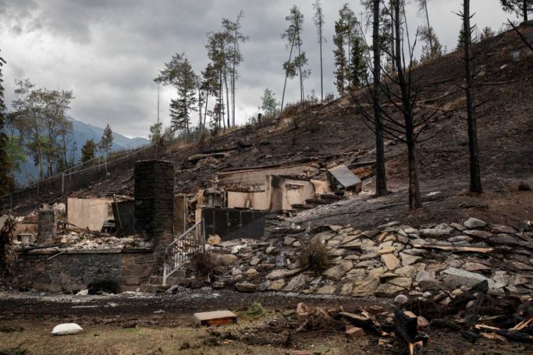 %d9%83%d9%88%d8%a7%d8%b1%d8%ab 2024 %d9%83%d9%86%d8%af%d8%a7 %d8%aa%d8%b3%d8%ac%d9%84 %d8%a3%d8%b9%d9%84%d9%89 %d8%ae%d8%b3%d8%a7%d8%a6%d8%b1 %d9%85%d8%a4%d9%85%d9%86%d8%a9 %d9%81%d9%8a %d8%aa%d8%a7