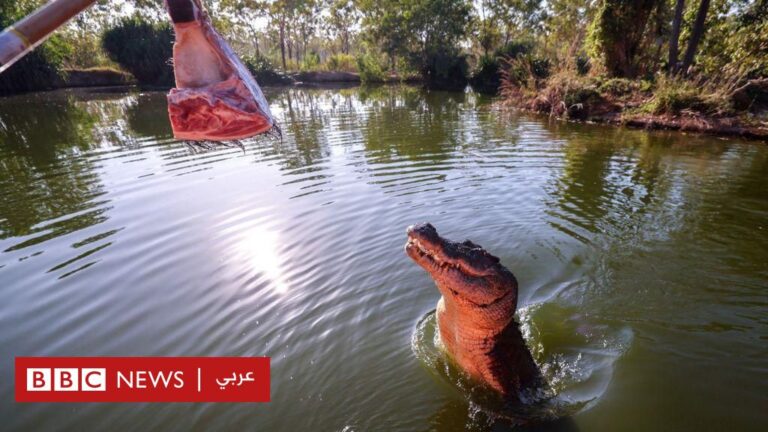 %d9%87%d9%84 %d9%85%d9%86 %d8%a7%d9%84%d9%85%d9%85%d9%83%d9%86 %d8%a3%d9%86 %d9%8a%d8%aa%d8%b9%d8%a7%d9%8a%d8%b4 %d8%a7%d9%84%d8%a8%d8%b4%d8%b1 %d9%85%d8%b9 %d8%a3%d8%ae%d8%b7%d8%b1 %d8%a7%d9%84%d8%ad