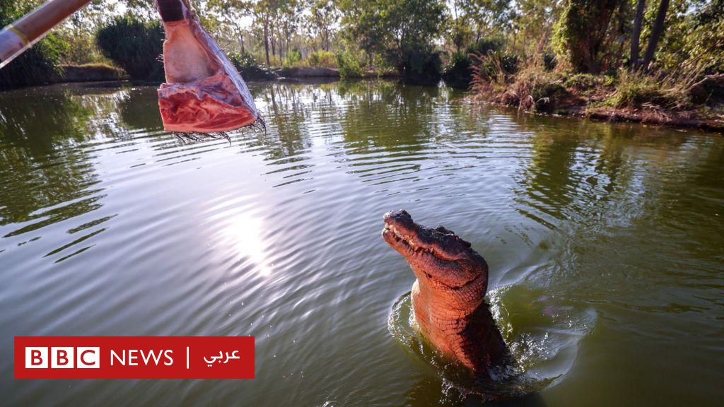 %d9%87%d9%84 %d9%85%d9%86 %d8%a7%d9%84%d9%85%d9%85%d9%83%d9%86 %d8%a3%d9%86 %d9%8a%d8%aa%d8%b9%d8%a7%d9%8a%d8%b4 %d8%a7%d9%84%d8%a8%d8%b4%d8%b1 %d9%85%d8%b9 %d8%a3%d8%ae%d8%b7%d8%b1 %d8%a7%d9%84%d8%ad