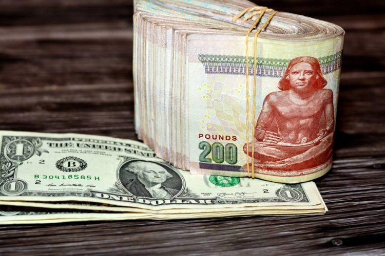 %d8%b3%d8%b9%d8%b1 %d8%a7%d9%84%d8%af%d9%88%d9%84%d8%a7%d8%b1 %d8%a7%d9%84%d9%8a%d9%88%d9%85 %d9%85%d9%82%d8%a7%d8%a8%d9%84 %d8%a7%d9%84%d8%ac%d9%86%d9%8a%d9%87 %d8%a7%d9%84%d9%85%d8%b5%d8%b1%d9%8a