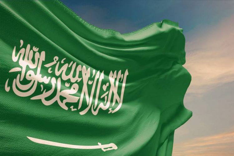 %d8%ae%d8%b7%d8%a9 %d8%a7%d9%84%d8%a7%d9%82%d8%aa%d8%b1%d8%a7%d8%b6 %d8%a7%d9%84%d8%b3%d8%b9%d9%88%d8%af%d9%8a%d8%a9 %d9%84%d9%802025 %d8%aa%d9%8f%d9%82%d8%af%d9%91%d8%b1 %d8%a7%d8%ad%d8%aa%d9%8a