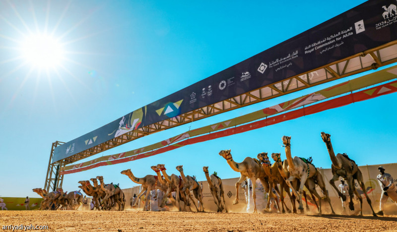 15 %d8%af%d9%88%d9%84%d8%a9 %d8%aa%d8%af%d8%ae%d9%84 %d8%aa%d8%ad%d8%af%d9%8a %d8%a7%d9%84%d9%87%d8%ac%d9%86 %d9%81%d9%8a %d8%a7%d9%84%d8%ac%d9%86%d8%a7%d8%af%d8%b1%d9%8a%d8%a9