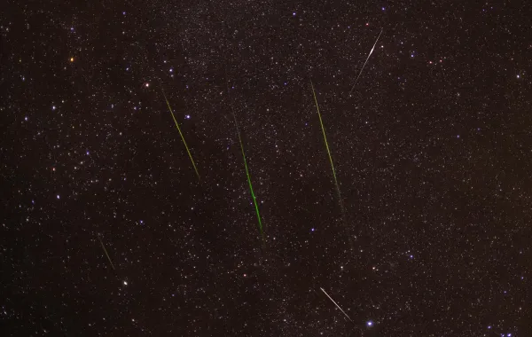 %d9%84%d9%85%d8%ad%d8%a8%d9%8a %d8%a7%d9%84%d8%b8%d9%88%d8%a7%d9%87%d8%b1 %d8%a7%d9%84%d9%81%d9%84%d9%83%d9%8a%d8%a9 %d8%b4%d9%87%d8%a8 %d8%a7%d9%84%d8%b1%d8%a8%d8%a7%d8%b9%d9%8a%d8%a7%d8%aa %d8%aa