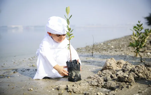 %d9%86%d8%b2%d8%b1%d8%b9 %d9%84%d9%84%d8%a7%d8%b3%d8%aa%d8%af%d8%a7%d9%85%d8%a9 %d9%85%d8%b4%d8%b1%d9%88%d8%b9 %d8%ac%d8%af%d9%8a%d8%af %d9%8a%d8%b9%d8%b2%d8%b2 %d8%af%d9%88%d8%b1 %d8%a7%d9%84%d9%85