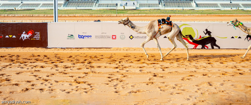 %d9%85%d9%87%d8%b1%d8%ac%d8%a7%d9%86 %d8%a7%d9%84%d9%87%d8%ac%d9%86 %d8%a7%d8%a8%d9%86 %d8%ad%d8%ab%d9%84%d9%8a%d9%86 %d9%8a%d8%aa%d8%b2%d8%b9%d9%85 %d8%a7%d9%84%d8%b4%d9%88%d8%b7 %d8%a7%d9%84%d8%b1