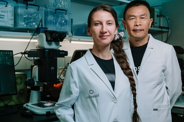 %d8%a7%d9%84%d8%aa%d9%83%d9%86%d9%88%d9%84%d9%88%d8%ac%d9%8a%d8%a7 %d8%a7%d9%84%d8%ad%d9%8a%d9%88%d9%8a%d8%a9 %d8%aa%d8%ad%d8%b7%d9%85 %d8%a7%d9%84%d8%a3%d8%b1%d9%82%d8%a7%d9%85 %d8%a7%d9%84%d9%82