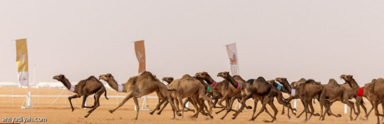 4 %d9%85%d9%84%d8%a7%d9%83 %d9%8a%d8%aa%d8%b5%d8%af%d8%b1%d9%88%d9%86 %d8%aa%d8%ad%d8%af%d9%8a %d8%a7%d9%84%d9%87%d8%ac%d9%8a%d8%ac %d9%81%d9%8a %d8%a7%d9%84%d8%b5%d9%8a%d8%a7%d9%87%d8%af