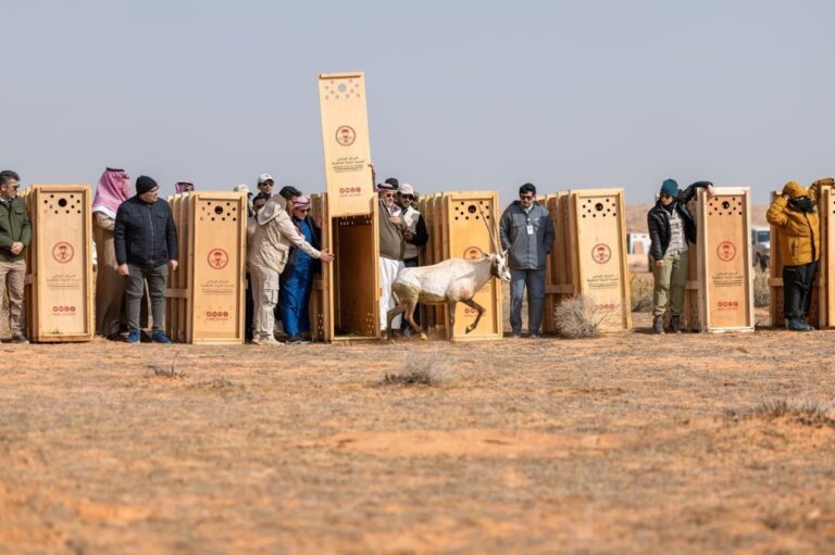 %d9%85%d8%ad%d9%85%d9%8a%d8%a9 %d8%a7%d9%84%d8%a5%d9%85%d8%a7%d9%85 %d8%aa%d8%b1%d9%83%d9%8a %d8%a5%d8%b7%d9%84%d8%a7%d9%82 95 %d9%85%d9%86 %d8%a7%d9%84%d9%83%d8%a7%d8%a6%d9%86%d8%a7%d8%aa %d8%a7