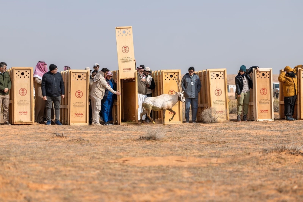 %d9%85%d8%ad%d9%85%d9%8a%d8%a9 %d8%a7%d9%84%d8%a5%d9%85%d8%a7%d9%85 %d8%aa%d8%b1%d9%83%d9%8a %d8%a5%d8%b7%d9%84%d8%a7%d9%82 95 %d9%85%d9%86 %d8%a7%d9%84%d9%83%d8%a7%d8%a6%d9%86%d8%a7%d8%aa %d8%a7