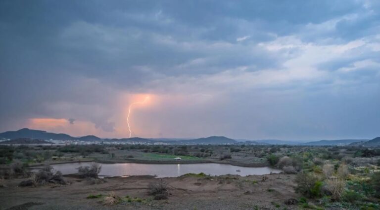 %d8%ad%d8%aa%d9%89 %d8%a7%d9%84%d9%80 7 %d9%85%d8%b3%d8%a7%d8%a1%d9%8b %d8%b1%d9%8a%d8%a7%d8%ad %d8%b4%d8%af%d9%8a%d8%af%d8%a9 %d9%88%d8%b5%d9%88%d8%a7%d8%b9%d9%82 %d8%b1%d8%b9%d8%af%d9%8a%d8%a9