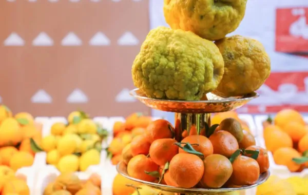 %d9%85%d9%87%d8%b1%d8%ac%d8%a7%d9%86 %d8%ad%d9%85%d8%b6%d9%8a%d8%a7%d8%aa %d8%a7%d9%84%d8%ad%d8%b1%d9%8a%d9%82 %d9%8a%d8%b9%d8%b2%d8%b2 %d8%a7%d9%84%d8%b3%d9%8a%d8%a7%d8%ad%d8%a9 %d8%a7%d9%84%d8%b2