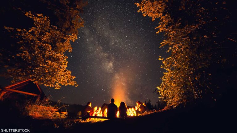 %d9%84%d9%85%d8%a7%d8%b0%d8%a7 %d8%aa%d9%85%d8%ab%d9%84 %d8%a7%d9%84%d8%b3%d9%8a%d8%a7%d8%ad%d8%a9 %d8%a7%d9%84%d9%84%d9%8a%d9%84%d9%8a%d8%a9 %d8%a7%d9%84%d8%a7%d8%aa%d8%ac%d8%a7%d9%87 %d8%a7%d9%84