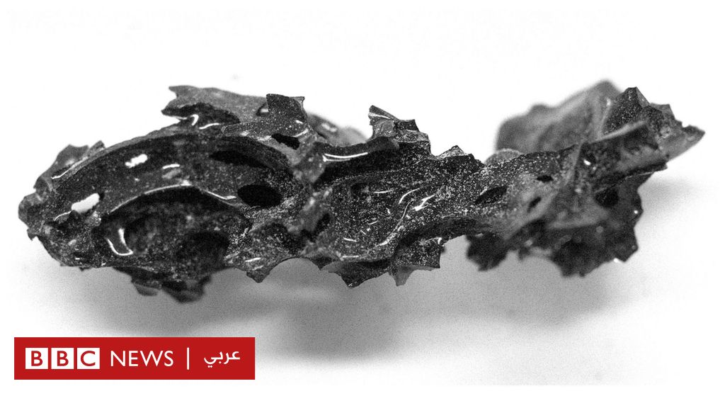 %d9%83%d9%8a%d9%81 %d8%ad%d9%88%d9%84 %d8%b1%d9%85%d8%a7%d8%af %d8%a8%d8%b1%d9%83%d8%a7%d9%86 %d9%81%d9%8a%d8%b2%d9%88%d9%81 %d8%a7%d9%84%d8%b3%d8%a7%d8%ae%d9%86 %d8%af%d9%85%d8%a7%d8%ba %d8%b1%d8%ac