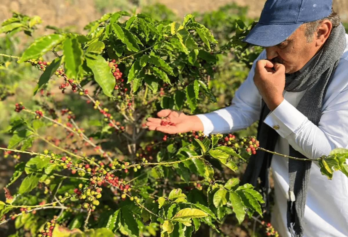 %d8%a7%d9%84%d8%b3%d8%b9%d9%88%d8%af%d9%8a%d8%a9 %d8%aa%d8%aa%d8%ac%d9%87 %d9%84%d9%81%d8%aa%d8%ad %d9%82%d9%86%d9%88%d8%a7%d8%aa %d8%aa%d8%b5%d8%af%d9%8a%d8%b1 %d8%ac%d8%af%d9%8a%d8%af%d8%a9 %d9%84