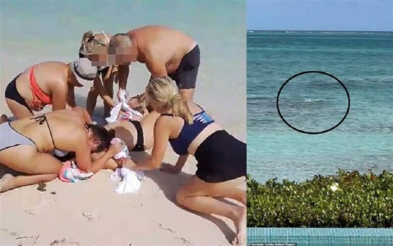 %d8%a8%d8%aa%d8%b1 %d9%8a%d8%af%d9%8a %d8%a7%d9%85%d8%b1%d8%a3%d8%a9 %d9%83%d9%86%d8%af%d9%8a%d8%a9 %d8%aa%d8%b9%d8%b1%d8%b6%d8%aa %d9%84%d9%87%d8%ac%d9%88%d9%85 %d9%82%d8%b1%d8%b4 %d9%81%d9%8a %d8%ac