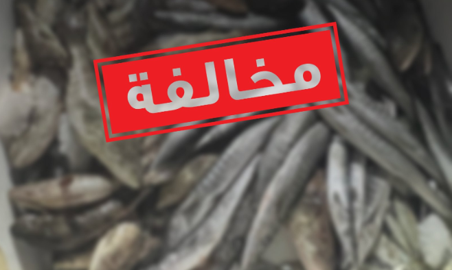 “بيئة _ أبوظبي” تُحرر مخالفة لقارب صيد ترفيهي تجاوز حد الصيد اليومي المسموح به