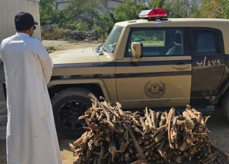 %d8%ac%d8%af%d8%a9 %d8%b6%d8%a8%d8%b7 %d9%85%d8%ae%d8%a7%d9%84%d9%81 %d9%84%d9%86%d8%b8%d8%a7%d9%85 %d8%a7%d9%84%d8%a8%d9%8a%d8%a6%d8%a9 %d8%a8%d8%ad%d9%88%d8%b2%d8%aa%d9%87 %d8%ad%d8%b7%d8%a8