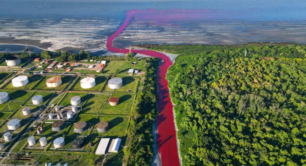 %d9%86%d9%87%d8%b1 %d8%a8%d9%84%d9%88%d9%86 %d8%a7%d9%84%d8%af%d9%85 %d9%81%d9%8a %d8%a7%d9%84%d8%a3%d8%b1%d8%ac%d9%86%d8%aa%d9%8a%d9%86