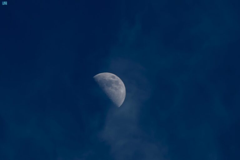 %d9%85%d8%b4%d9%87%d8%af %d9%85%d9%85%d9%8a%d8%b2 %d8%b1%d8%b5%d8%af %d8%a7%d9%84%d8%aa%d8%b1%d8%a8%d9%8a%d8%b9 %d8%a7%d9%84%d8%a3%d9%88%d9%84 %d9%84%d8%b4%d9%87%d8%b1 %d8%b4%d8%b9%d8%a8%d8%a7%d9%86