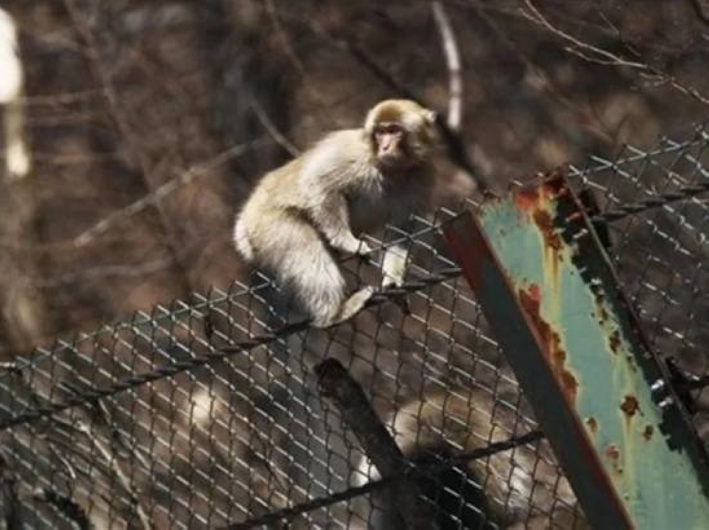 %d9%82%d8%b1%d8%af %d9%8a%d9%82%d8%b7%d8%b9 %d8%a7%d9%84%d9%83%d9%87%d8%b1%d8%a8%d8%a7%d8%a1 %d8%b9%d9%86 %d8%b6%d8%a7%d8%ad%d9%8a%d8%a9 %d8%a8%d8%ac%d9%86%d9%88%d8%a8 %d8%b9%d8%a7%d8%b5%d9%85%d8%a9