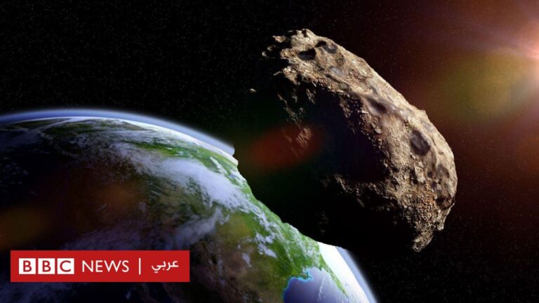 %d8%a7%d9%84%d9%83%d9%88%d9%8a%d9%83%d8%a8%d8%a7%d8%aa %d8%a7%d9%84%d8%aa%d9%8a %d8%aa%d8%b1%d8%aa%d8%b7%d9%85 %d8%a3%d9%88 %d8%aa%d9%88%d8%b4%d9%83 %d8%b9%d9%84%d9%89 %d8%a7%d9%84%d8%a7%d8%b1%d8%aa