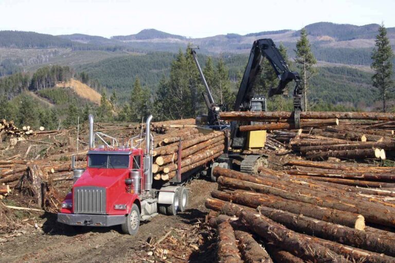 3 %d8%b9%d9%86%d8%a7%d8%b5%d8%b1 %d9%8a%d8%b6%d8%b9%d9%87%d8%a7 %d8%aa%d8%ad%d8%a7%d9%84%d9%81 %d9%85%d9%86%d8%a7%d8%a8%d8%b9 %d8%a7%d9%84%d8%a3%d9%85%d8%a7%d8%b2%d9%88%d9%86 %d9%84%d9%88%d9%84%d8%a7