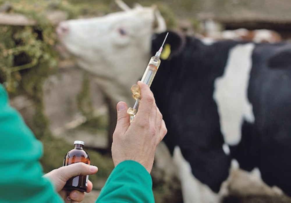 %d8%b6%d8%a8%d8%b7 %d8%a3%d8%af%d9%88%d9%8a%d8%a9 %d8%a8%d9%8a%d8%b7%d8%b1%d9%8a%d8%a9 %d8%ba%d9%8a%d8%b1 %d9%85%d8%b1%d8%ae%d8%b5%d8%a9 %d9%81%d9%8a %d8%a7%d9%84%d8%b7%d8%a7%d8%a6%d9%81