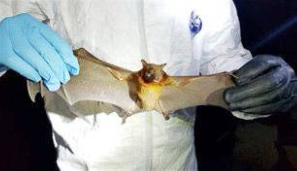 %d8%b9%d9%84%d9%85%d8%a7%d8%a1 %d8%b5%d9%8a%d9%86%d9%8a%d9%88%d9%86 %d9%8a%d8%ab%d9%8a%d8%b1%d9%88%d9%86 %d8%a7%d9%84%d9%82%d9%84%d9%82 %d9%81%d8%a7%d9%8a%d8%b1%d9%88%d8%b3 %d8%ac%d8%af%d9%8a%d8%af