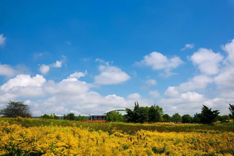 %d9%85%d9%8a%d9%84%d8%b1%d9%86%d9%88%d9%84 %d8%aa%d8%b9%d9%84%d9%86 %d8%b9%d9%86 %d8%a7%d8%b3%d8%aa%d8%b1%d8%a7%d8%aa%d9%8a%d8%ac%d9%8a%d8%aa%d9%87%d8%a7 %d8%a7%d9%84%d8%ac%d8%af%d9%8a%d8%af%d8%a9