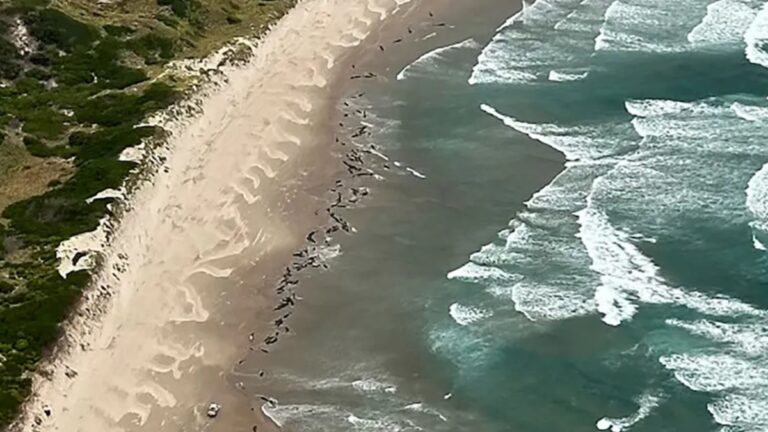 %d9%85%d8%b4%d9%87%d8%af %d9%84%d8%a7 %d9%8a%d8%b5%d8%af%d9%82 %d8%a3%d9%83%d8%ab%d8%b1 %d9%85%d9%86 150 %d8%ad%d9%88%d8%aa%d8%a7%d9%8b %d9%85%d9%85%d8%af%d8%a7%d9%8b %d8%b9%d9%84%d9%89 %d8%a7%d9%84