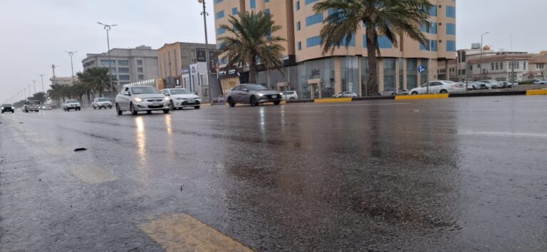 %d8%b6%d8%b1%d9%8a%d8%a9 %d8%a7%d9%84%d8%a3%d8%b9%d9%84%d9%89 %d8%a8%d9%80 33 %d9%85%d9%84%d9%85 %d8%aa%d9%81%d8%a7%d8%b5%d9%8a%d9%84 %d9%83%d9%85%d9%8a%d8%a7%d8%aa %d8%a7%d9%84%d8%a3%d9%85