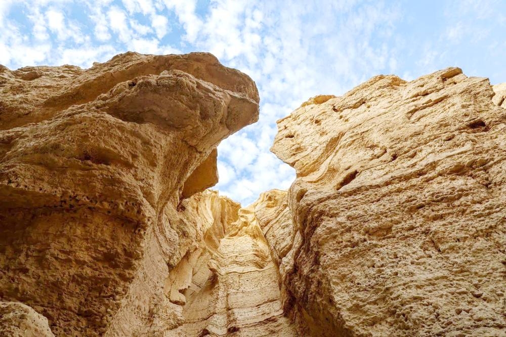 %d8%a7%d9%84%d9%85%d9%83%d8%a7%d9%86 %d8%a7%d9%84%d8%b0%d9%8a %d9%8a%d8%b1%d9%88%d9%8a %d9%82%d8%b5%d8%a9 %d8%a7%d9%84%d8%a3%d8%b1%d8%b6 %d9%85%d8%ad%d9%85%d9%8a%d8%a9 %d8%a7%d9%84%d9%85%d9%84%d9%83