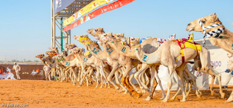 %d8%b1%d8%a8%d8%b9 %d9%85%d9%84%d9%8a%d8%a7%d8%b1 %d9%82%d9%8a%d9%85%d8%a9 %d9%85%d9%87%d8%b1%d8%ac%d8%a7%d9%86 %d8%a7%d9%84%d9%87%d8%ac%d9%86 %d8%a7%d9%84%d8%b3%d9%88%d9%82%d9%8a%d8%a9