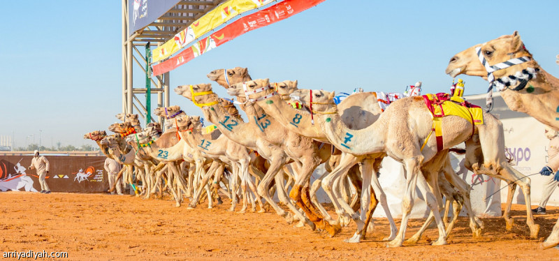 %d8%b1%d8%a8%d8%b9 %d9%85%d9%84%d9%8a%d8%a7%d8%b1 %d9%82%d9%8a%d9%85%d8%a9 %d9%85%d9%87%d8%b1%d8%ac%d8%a7%d9%86 %d8%a7%d9%84%d9%87%d8%ac%d9%86 %d8%a7%d9%84%d8%b3%d9%88%d9%82%d9%8a%d8%a9